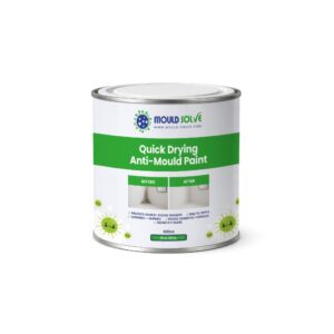Anti-mould Paint 1