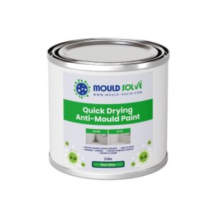 Anti-mould Paint 2
