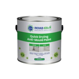 Anti-mould Paint 4