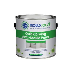 Anti-mould Paint 3